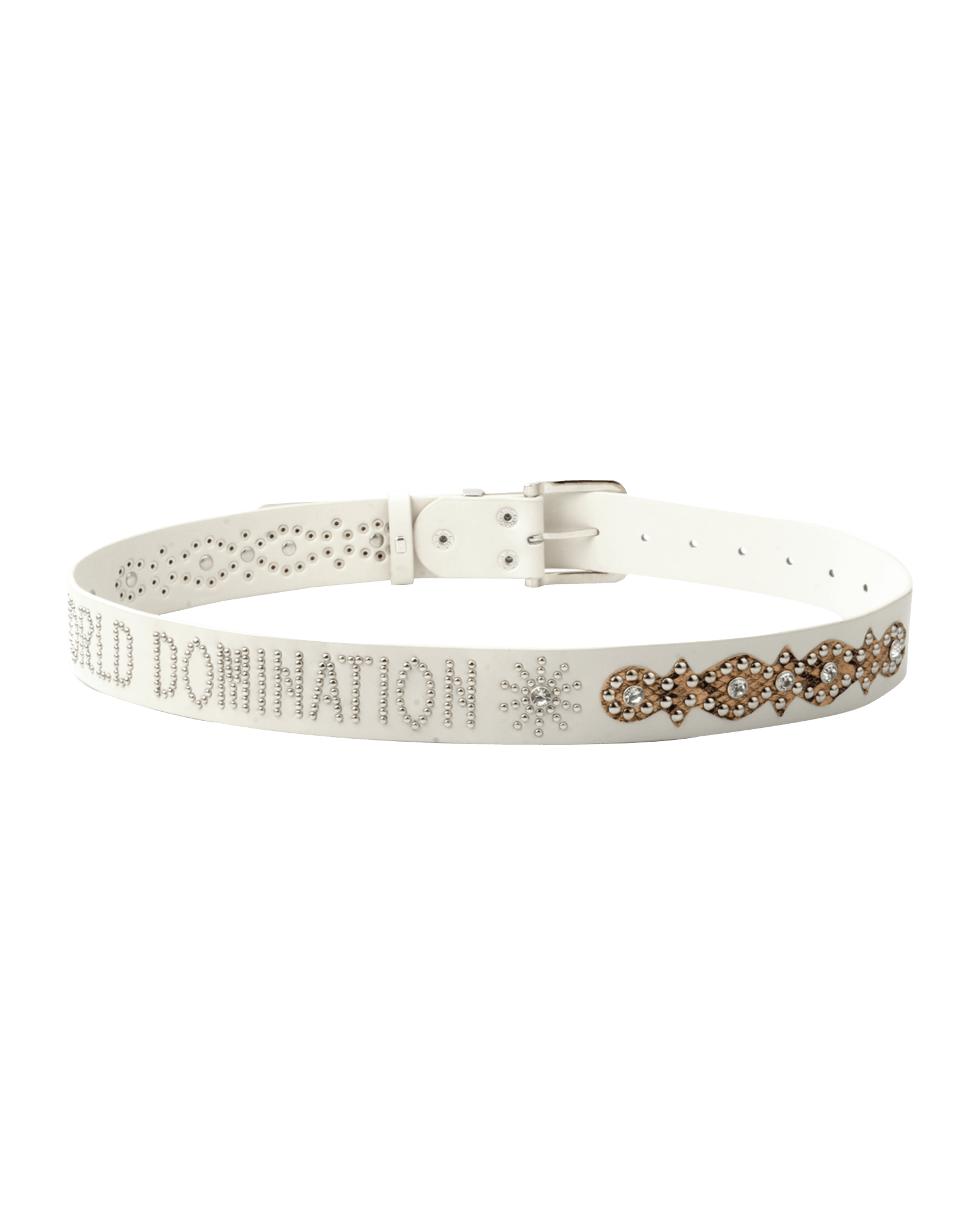 World Domination Belt - Beansmag