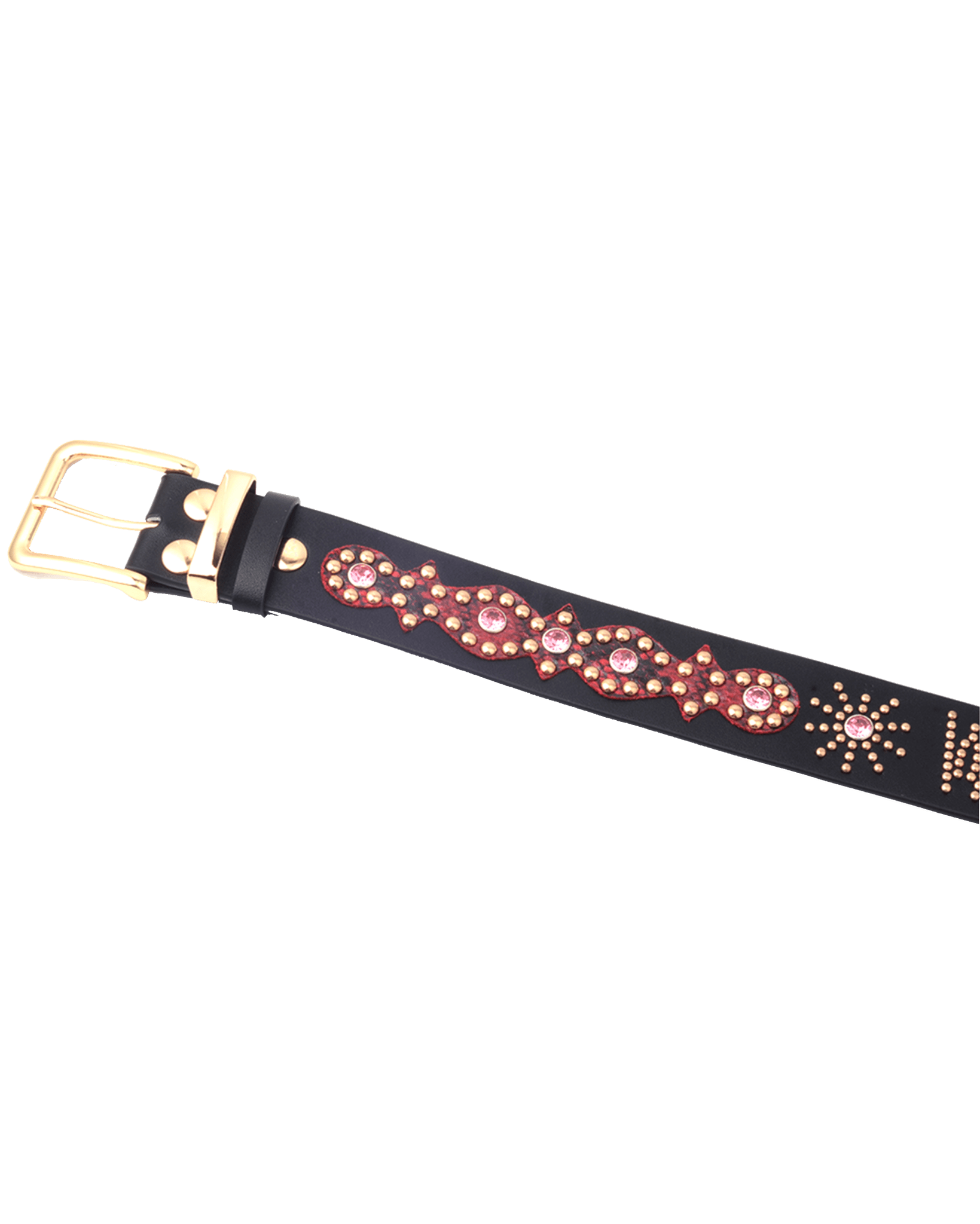World Domination Belt - Beansmag
