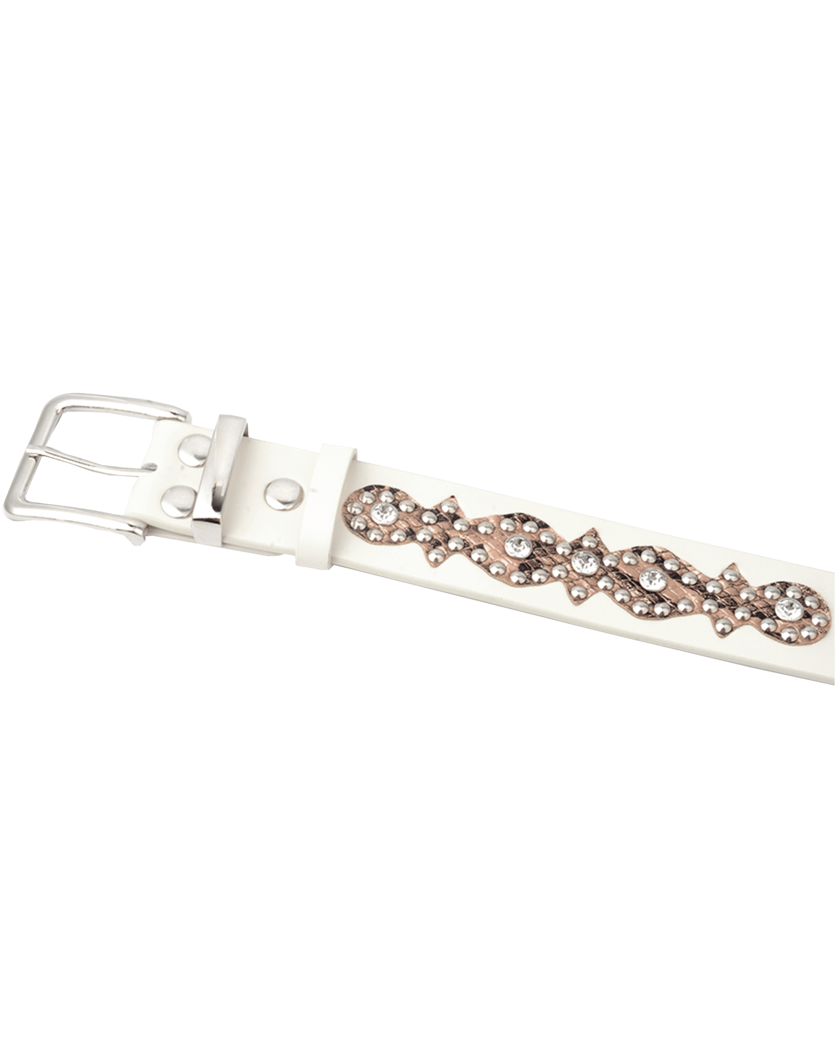World Domination Belt - Beansmag